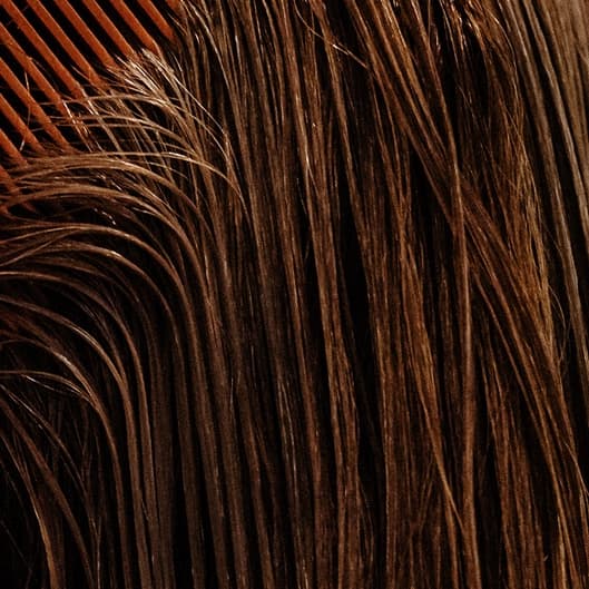 Root touch up only at Hair Divine, LLC in Plainfield, IN